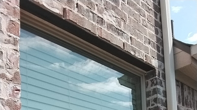 Window Cleaning Services Photo